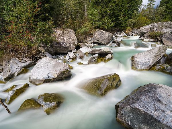 Zwick, Martin 아티스트의 River Sarca-Val di Genova in the Parco Naturale Adamello-Brenta-Trentino-Italy-Val Rendena작품입니다.